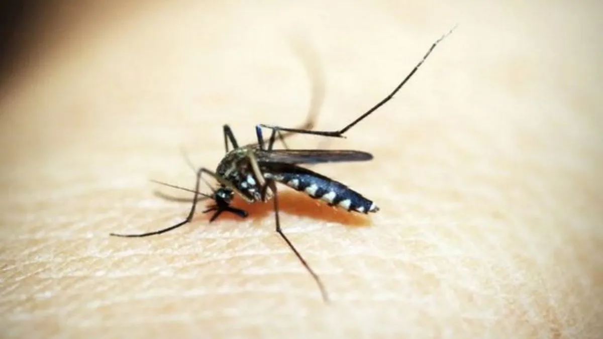 japanese-encephalitis-in-northeast-guwahati-medical-college-reports-44-confirmed-cases