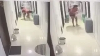 Pune Woman Brutally Beats Pet Cat, Then Throws It To The Floor; Police Step In After Public Outrage