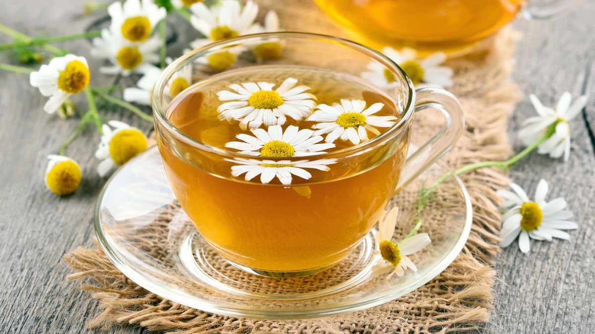 Bedtime Fat Burning Drinks