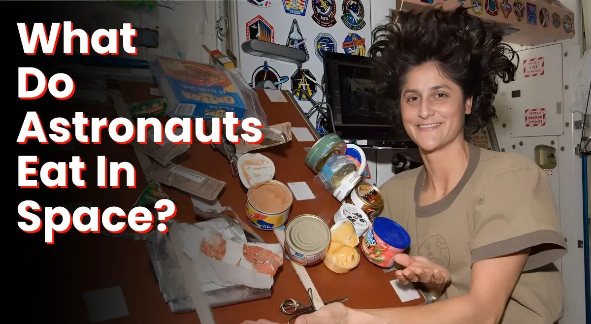 what-can-astronauts-eat-and-cannot-eat-in-space