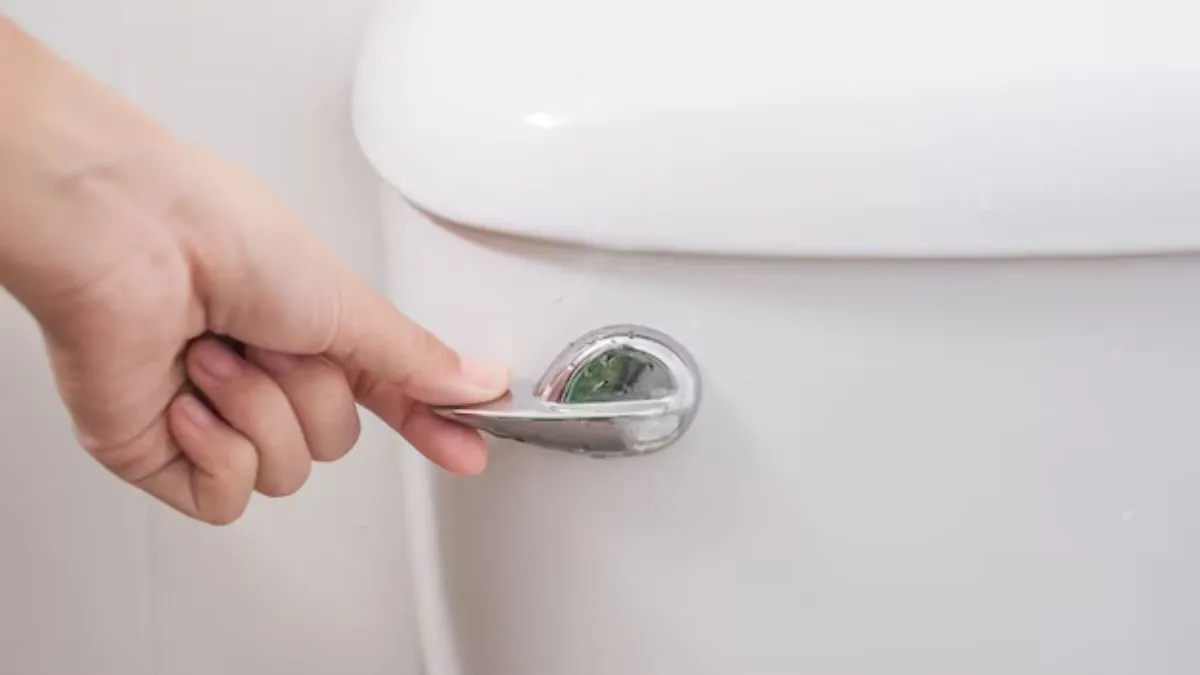 did-you-know-flushing-after-10-pm-could-get-you-fined-in-this-country