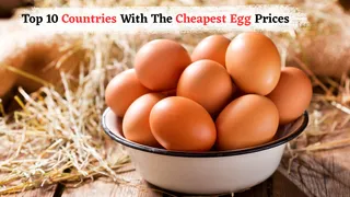 Which Are The Top 10 Countries With The Cheapest Egg Prices In 2025?