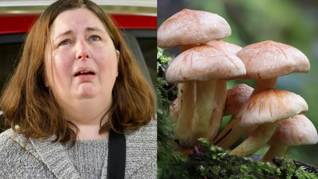 what-are-death-cap-mushrooms-the-deadly-ingredient-behind-one-of-australias-most-shocking-family-murders