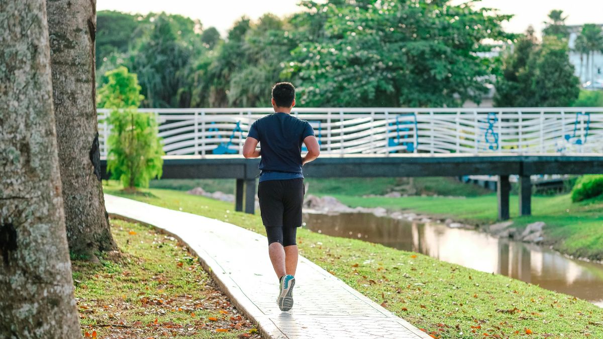 morning or evening walk