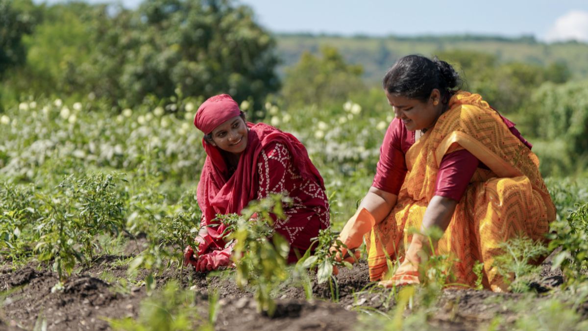 top 10 indian states with most working women (2)
