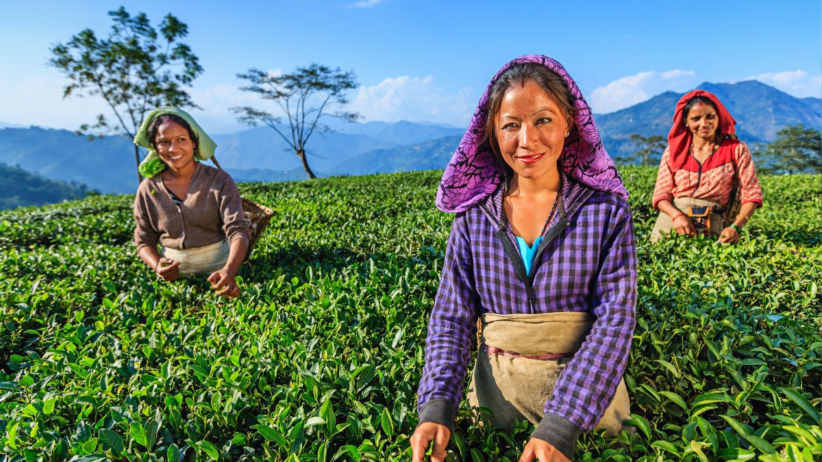 top 10 indian states with most working women (4)