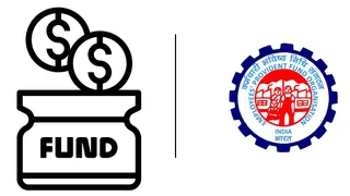 EPFO Interest Rate Update: How To Check Your EPF Balance via Official Site, Umang App, SMS
