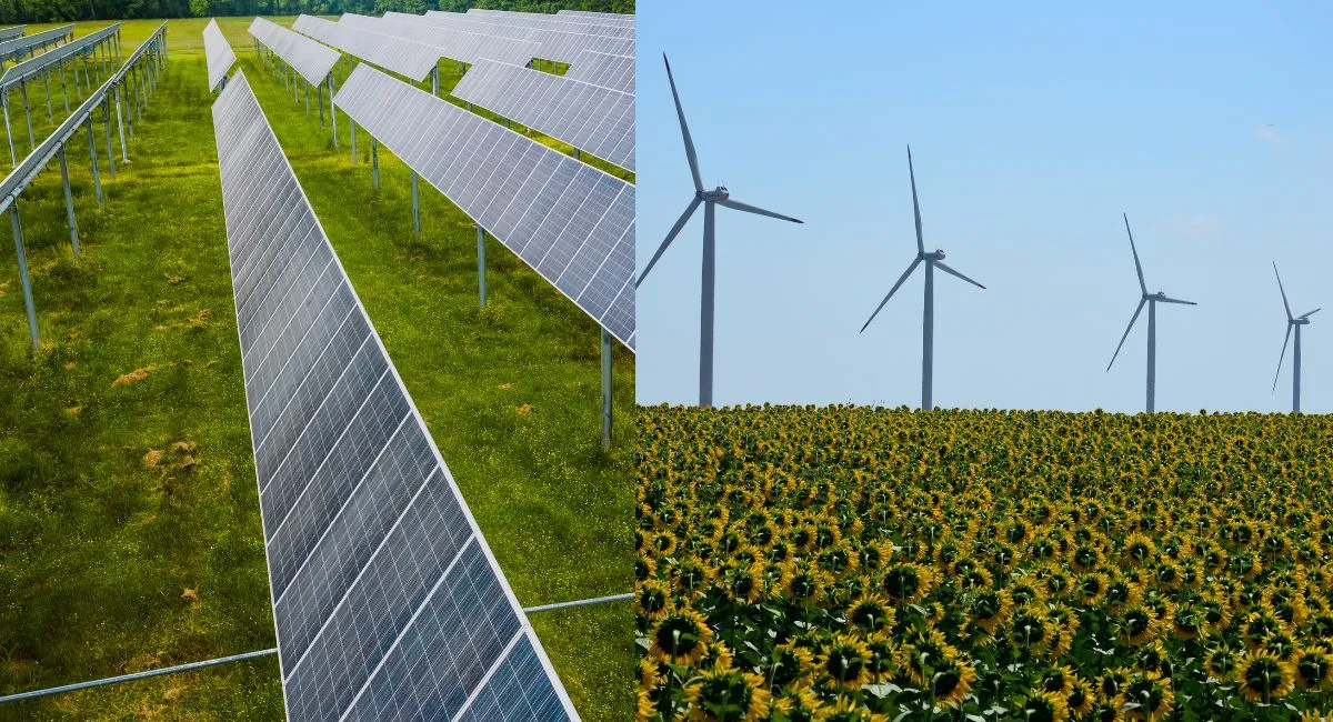 Bihar Approves New Renewable Energy Policy 2025, Aims To Become ...