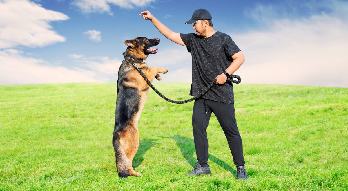 Dog trainer