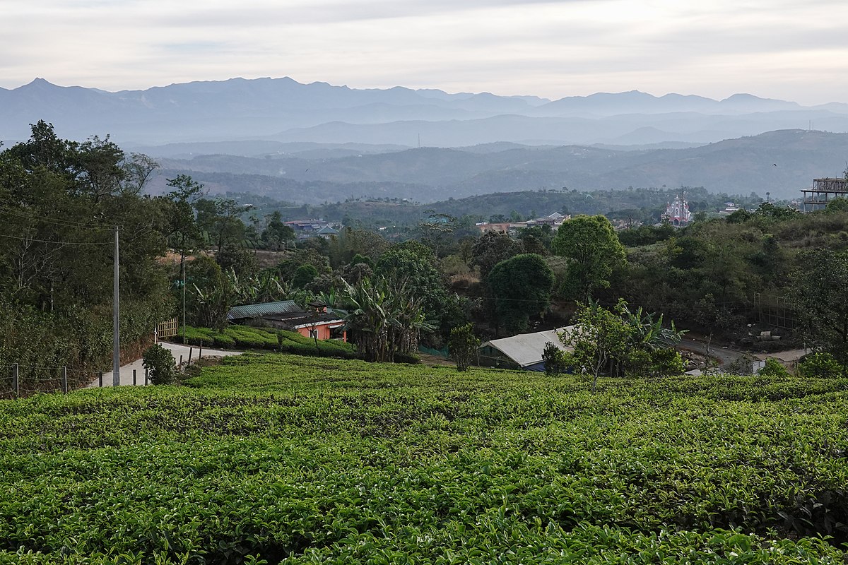 Idukki