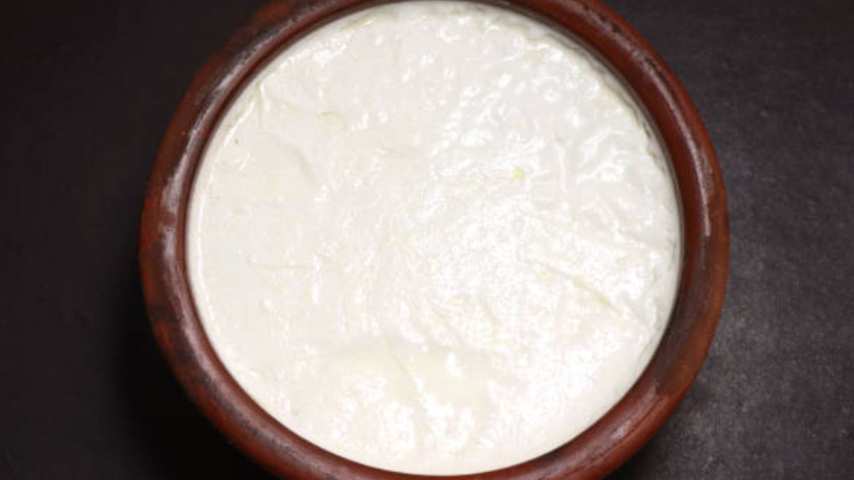 curd in rainy season