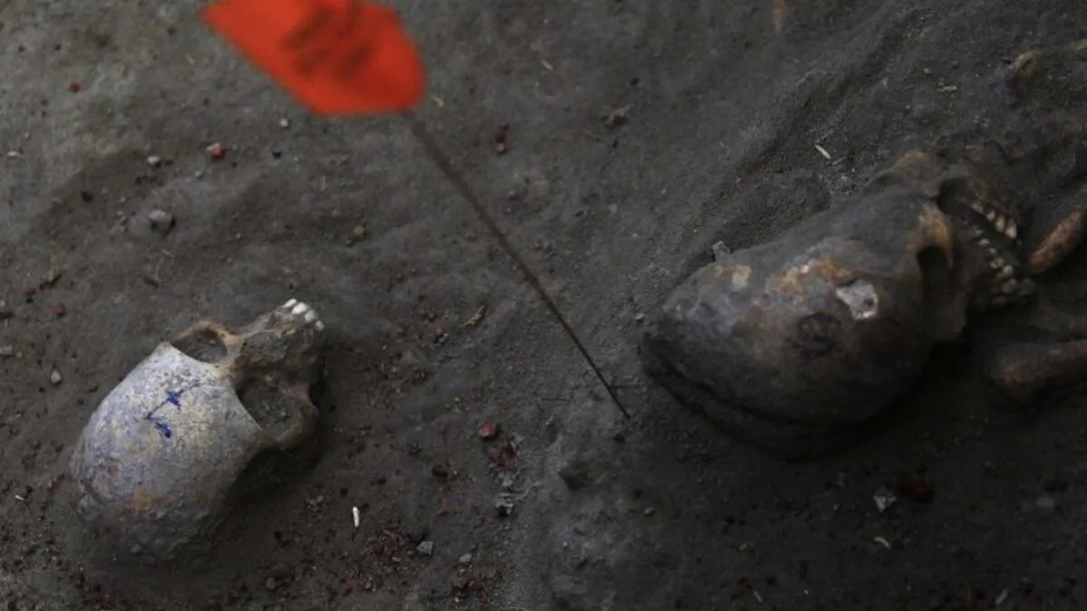 sri-lanka-mass-grave-tamil-party-demands-probe-after-skeletons-of-infants-found-in-chemmani