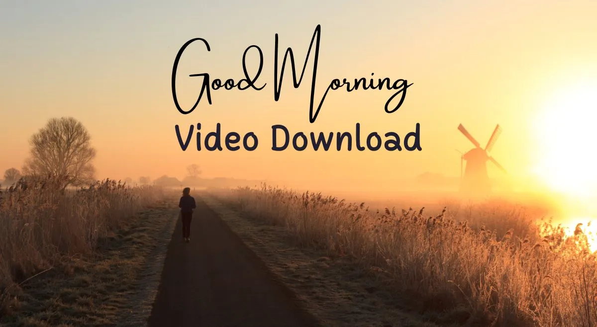 good-morning-video-status-download-share-30-second-videos-on-whatsapp-instagram-and-facebook-to-wish-family-and-friends