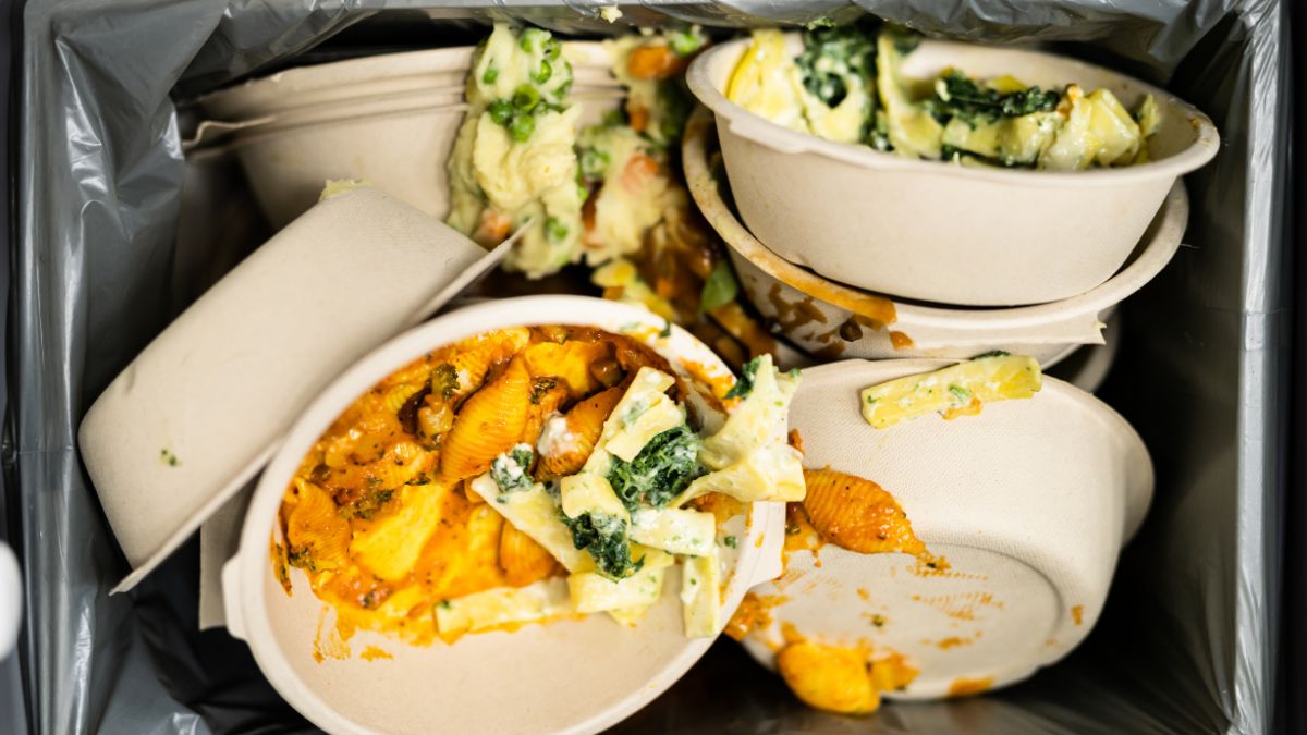 Snakes Attractants In Kitchen