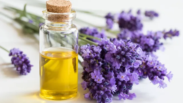 how-to-make-diy-lavender-oil-for-hair-growth-at-home