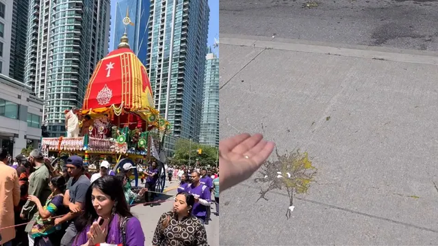 eggs-thrown-at-jagannath-rath-yatra-devotees-in-toronto-but-unshaken-spirit-and-devotion-keep-celebration-alive-in-viral-video