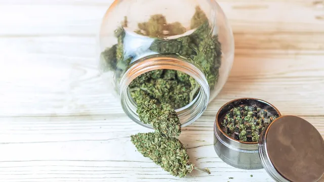 hyderabad-couple-caught-while-buying-ganja-with-4-year-old-son-14-held-in-crackdown-on-drugs