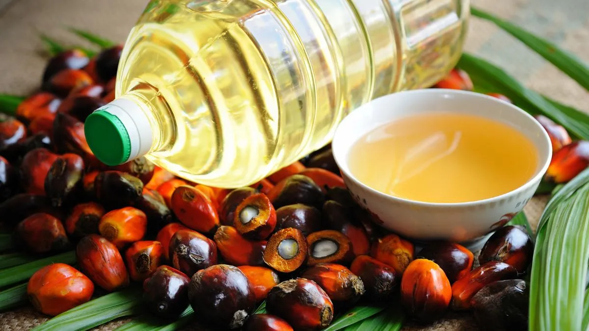 why-is-palm-oil-so-controversial-when-it-comes-to-health-find-out