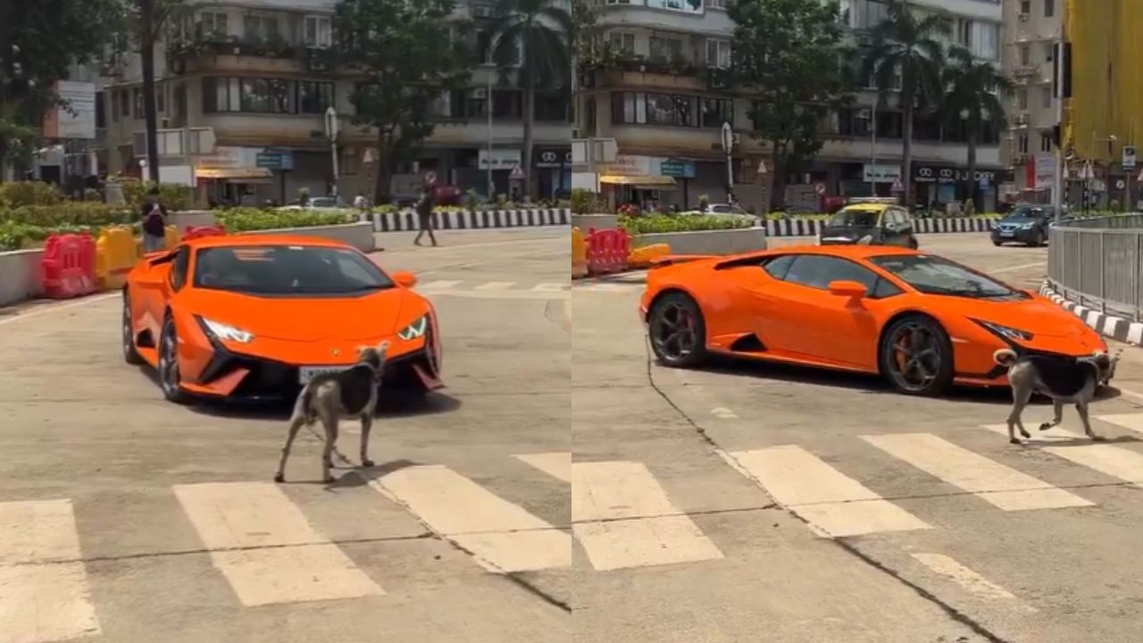 thedailyjagran.com - Entertainment - News Image