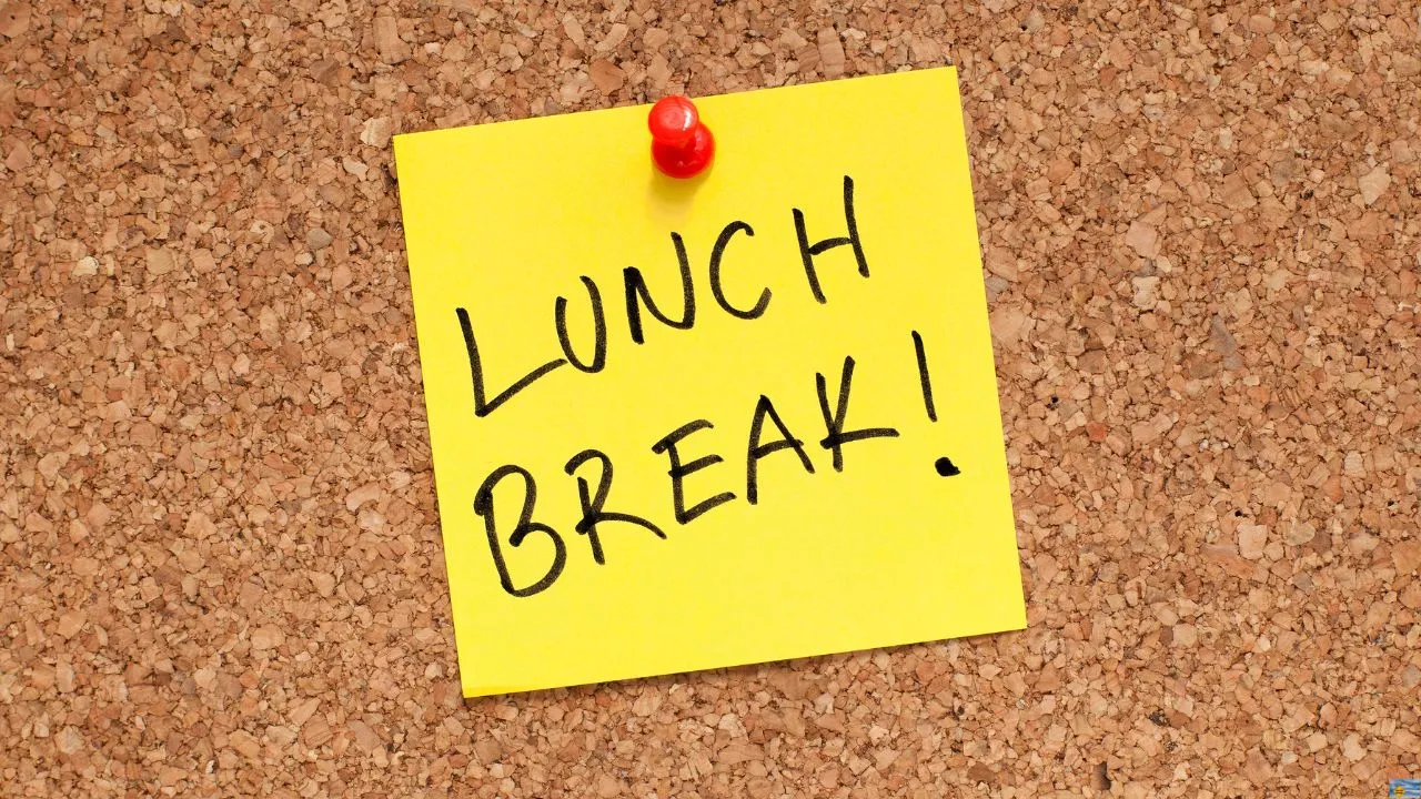khaane-ke-liye-hi-toh-kama-raha-hoon-employee-shuts-down-boss-for-refusing-lunch-break-internet-applauds-his-bold-reply