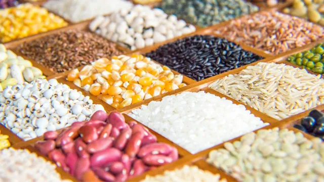 how-to-keep-your-grains-fresh-and-pest-free-during-rainy-season-try-these-6-best-hacks