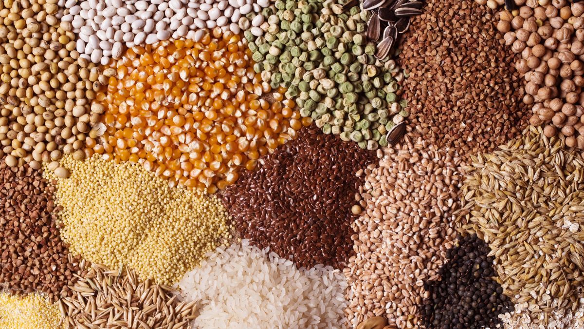 hacks to keep grains fresh in rainy season