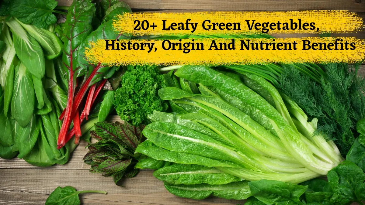 list-of-leafy-vegetables-worldwide-and-their-nutrient-benefits-to-know-on-fresh-spinach-day