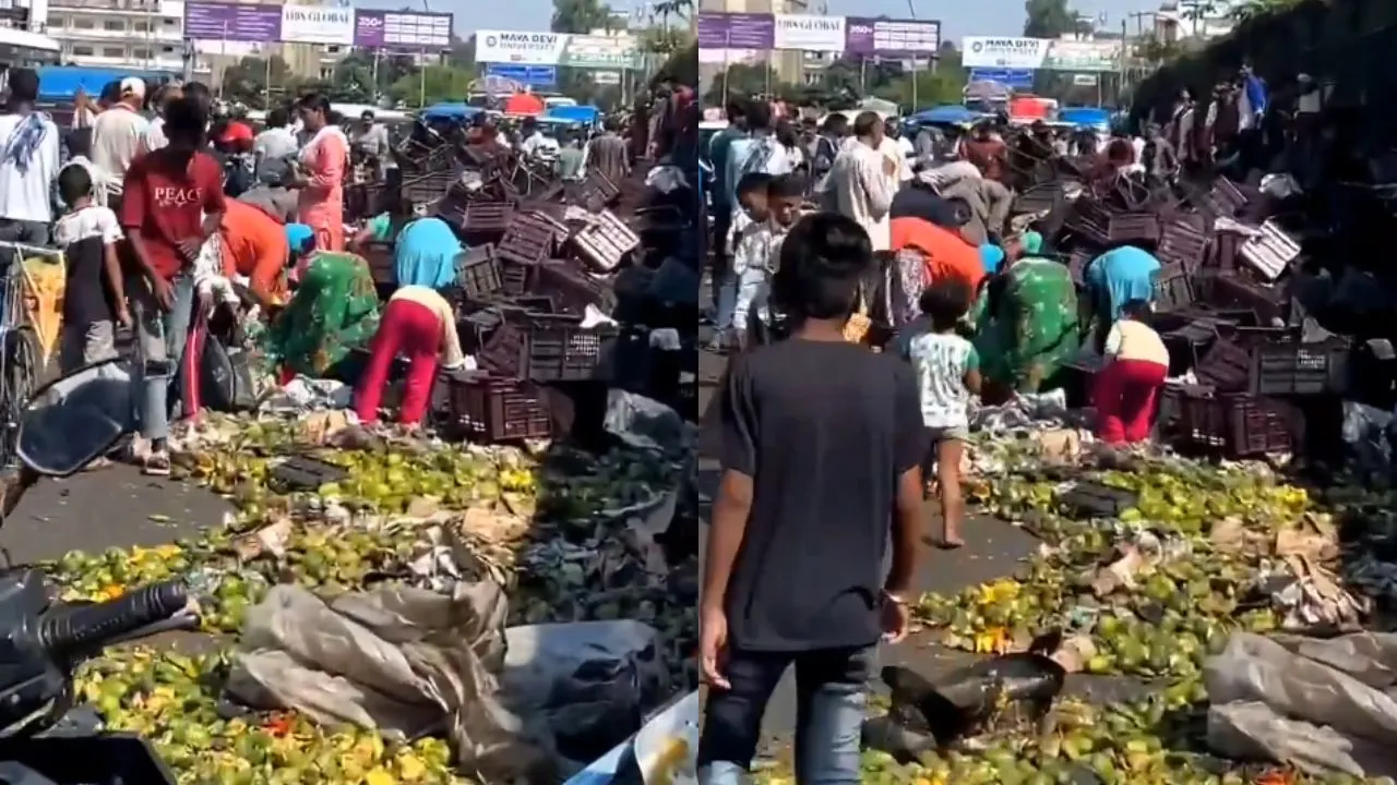 people-loot-mangoes-after-truck-overturns-in-dehradun-viral-video-sparks-outrage-thats-summarised-indians-in-general
