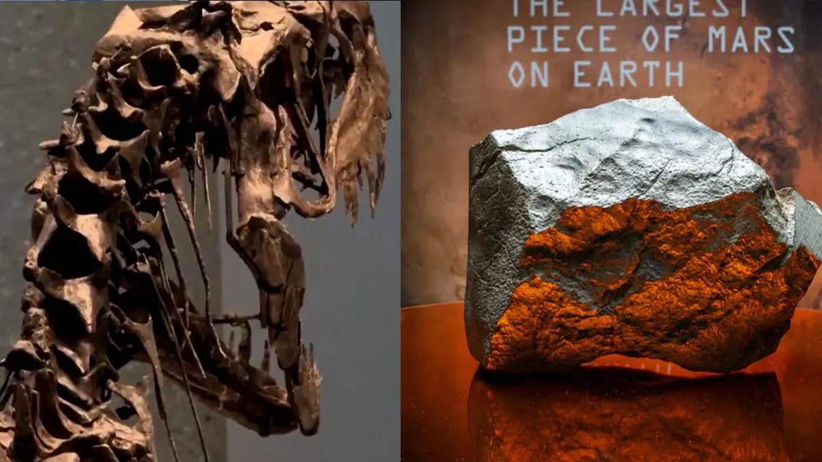 largest-piece-of-mars-sold-for-over-5-million-dollars-but-young-dinosaur-steals-show-at-30-million-dollars