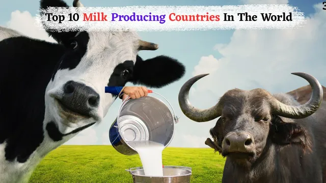 top-10-largest-milk-producing-countries-in-the-world-in-2025