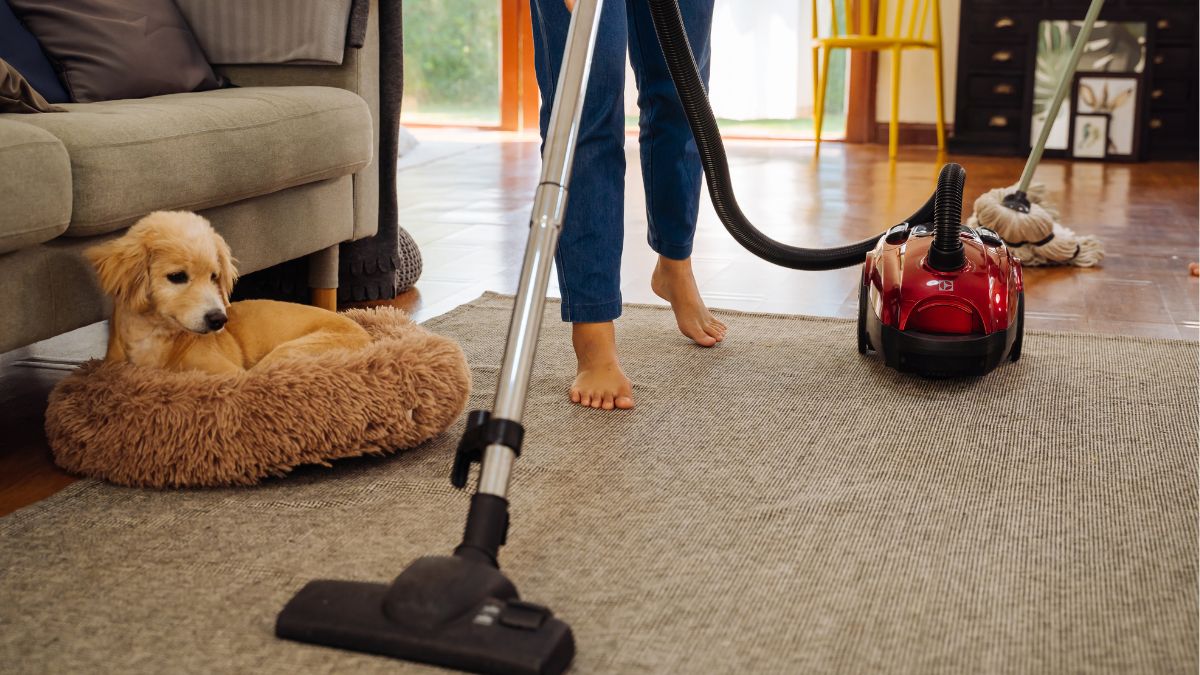 ways to burn more calories