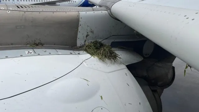 air-india-flight-veers-off-runway-during-landing-at-mumbai-airport-aircraft-suffers-damage-passengers-disembarked