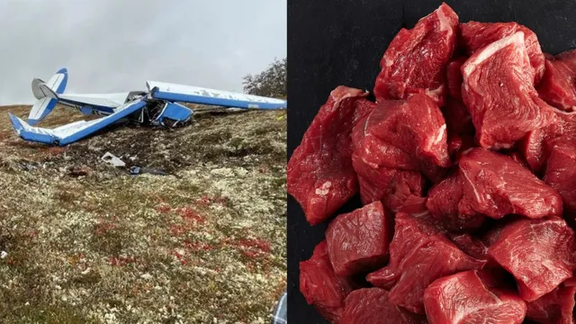 alaska-plane-crashed-after-being-overloaded-with-moose-meat-ntsb-report