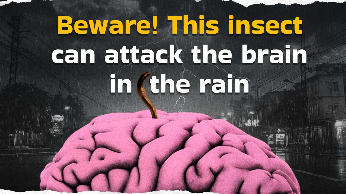 monsoon-red-alert-not-rain-but-brainattacking-tapeworm-sparks-lifethreatening-health-scare-details-inside-specials