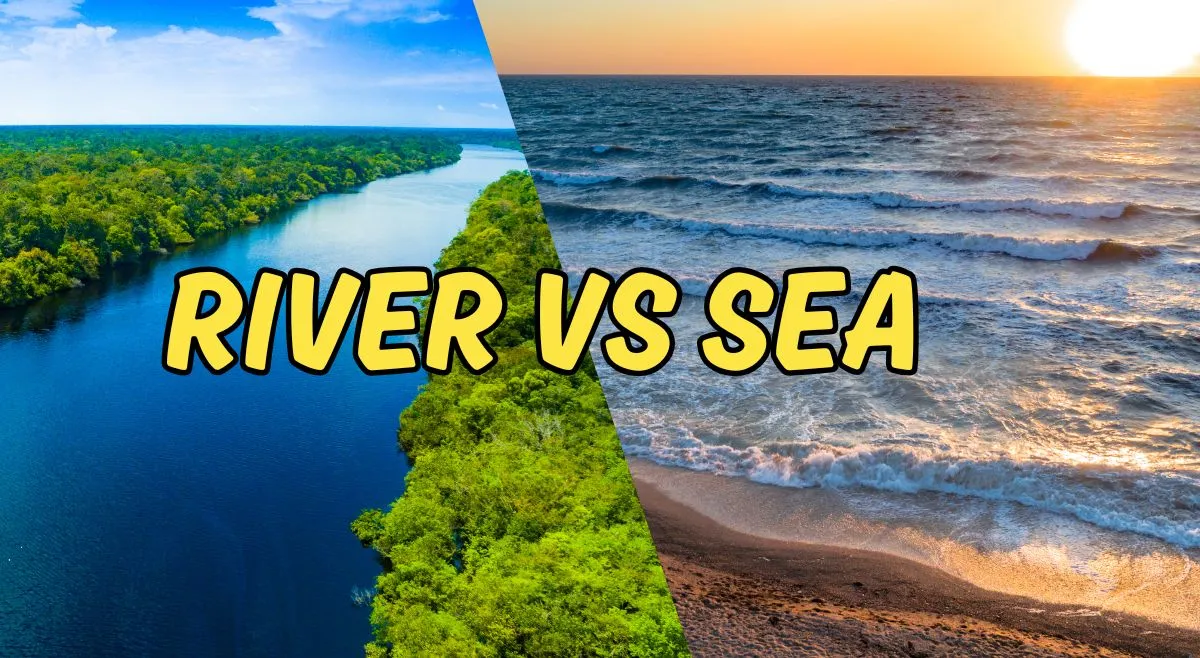 ever-wondered-why-sea-water-is-salty-but-river-water-is-not