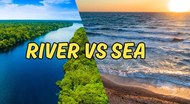 ever-wondered-why-sea-water-is-salty-but-river-water-is-not