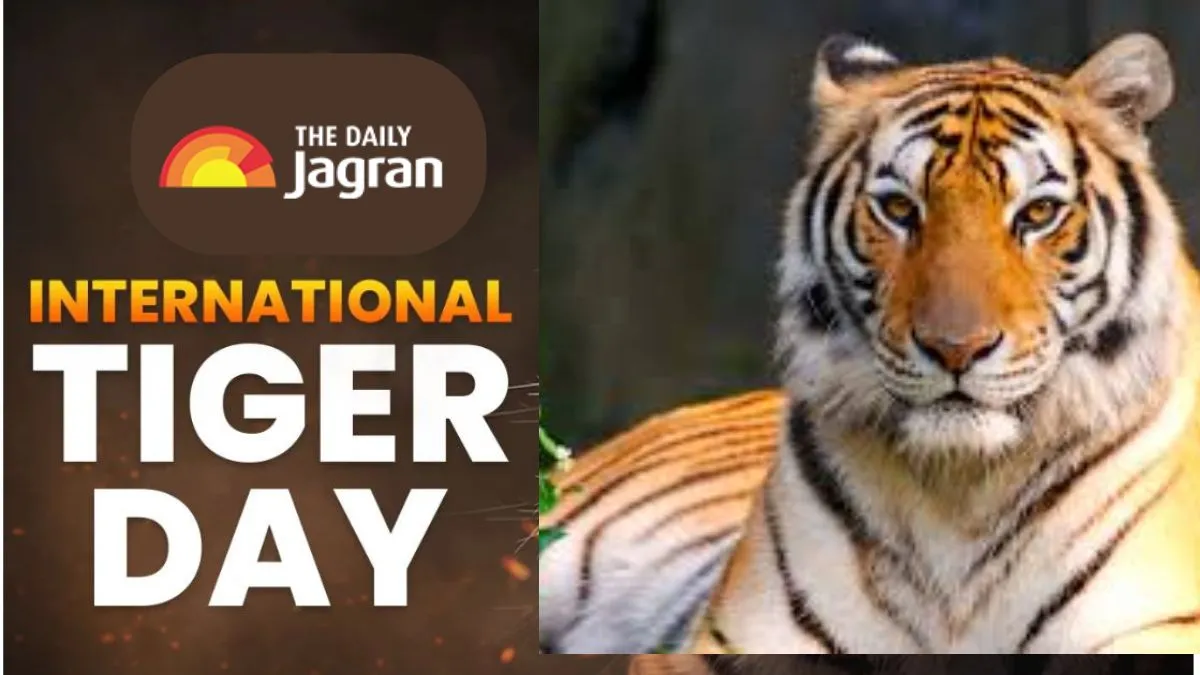international-tiger-day-2025-history-significance-theme-indias-tiger-conservation-efforts-all-you-need-to-know