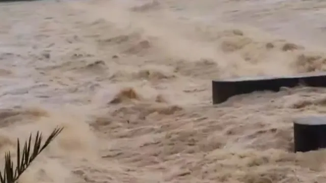 odisha-flood-alert-issued-for-three-districts-amid-continuous-rainfall-check-imd-forecast