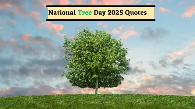 motivational-quotes-to-save-tree-on-national-tree-day-2025