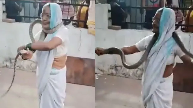 pune-grandma-fearlessly-wraps-snake-around-her-neck-to-spread-awareness-internet-applauds-her-bravery-viral-video