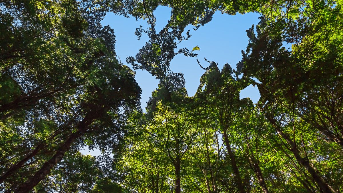 quotes to protect earth and creatures on world conservation day (5)