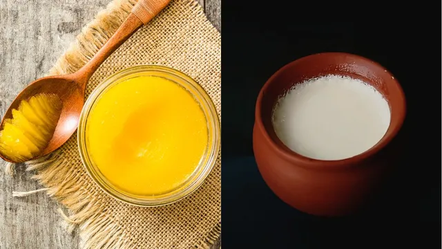 6-foods-you-should-never-eat-with-ghee-and-why-these-pairings-are-harmful