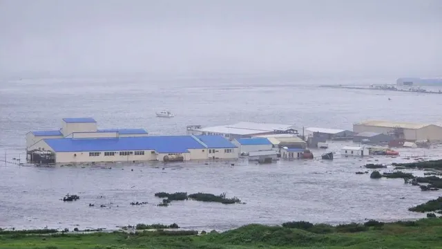 Latest tsunami news