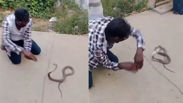 man-plays-with-snake-in-bizarre-viral-video-internet-calls-it-peak-unemployment-moment