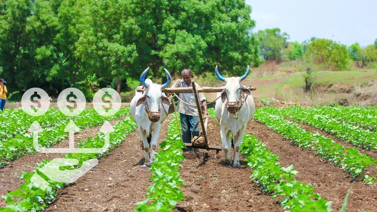 pm-kisan-20th-installment-date-2025-farmers-to-get-rs-2000-on-aug-2-how-to-check-beneficiary-stats