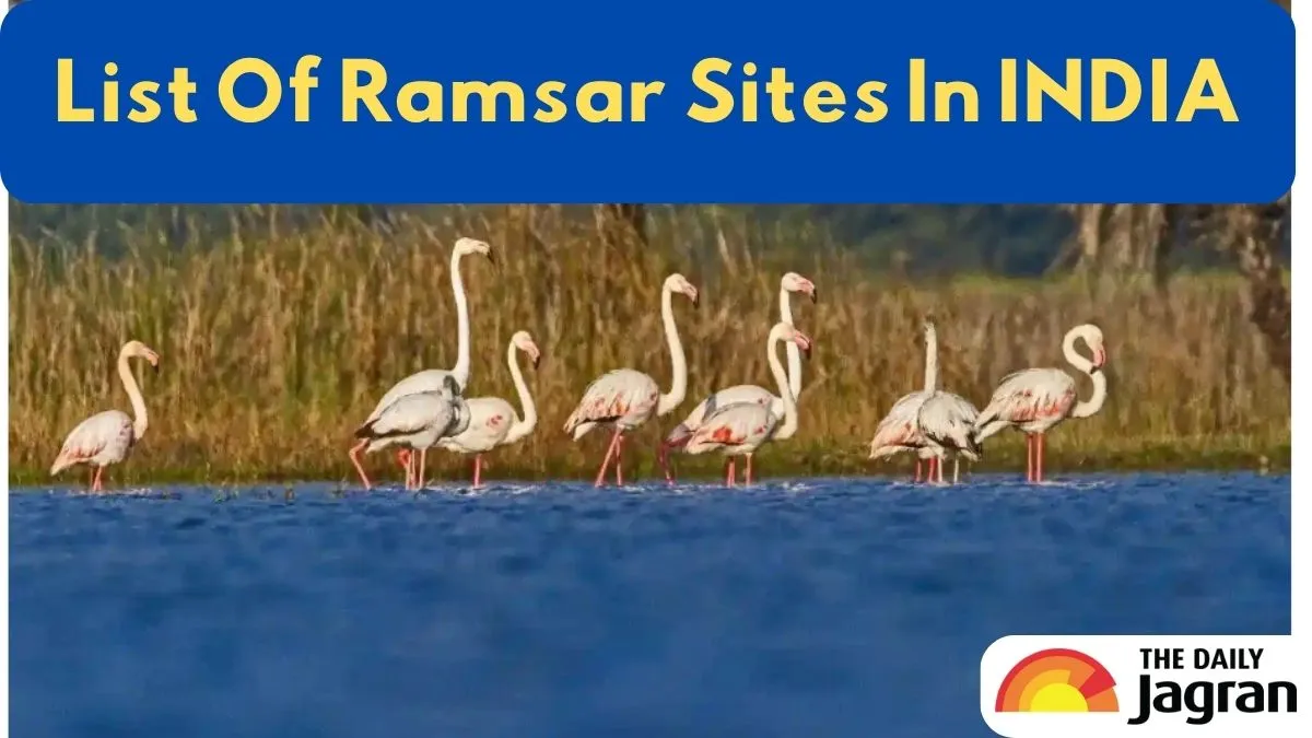 ramsar-sites-in-india-2025-updated-check-complete-statewise-list-names-designation-date-area