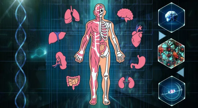 which-is-the-largest-organ-in-the-human-body