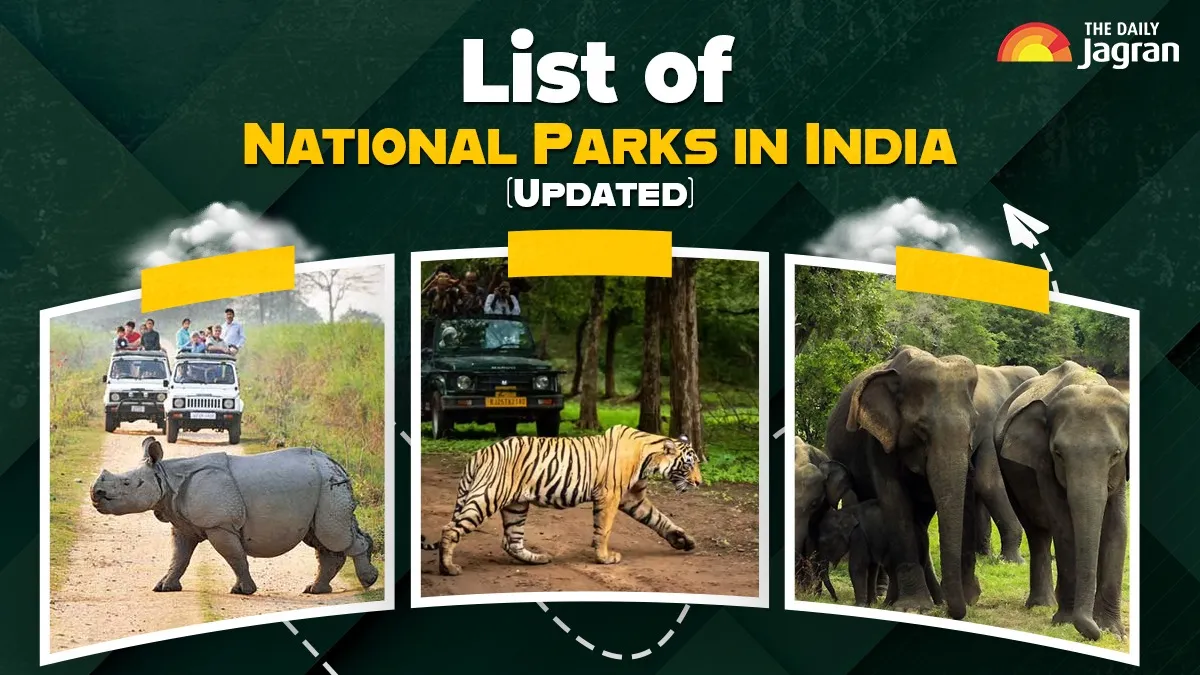 list-of-national-park-in-india-updated-check-statewise-name-established-year-their-key-species