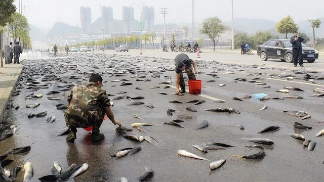 there-is-a-town-in-the-world-where-it-rains-fish-know-reasons-behind-this-bizarre-phenomenon