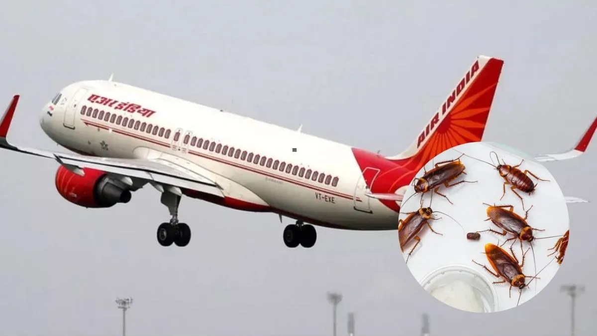 air-india-flyers-find-cockroaches-on-san-franciscomumbai-flight-airlines-carries-out-deep-cleaning-in-kolkata